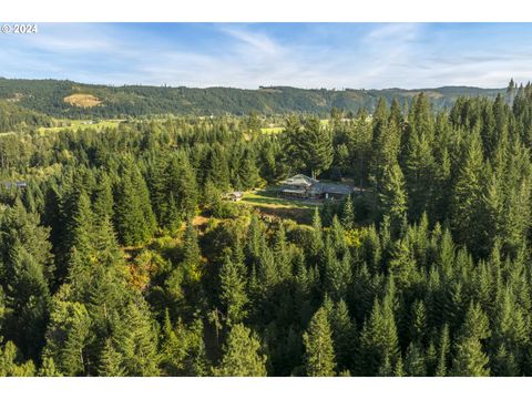 A home in Trout Lake