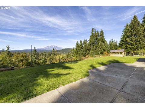 A home in Trout Lake