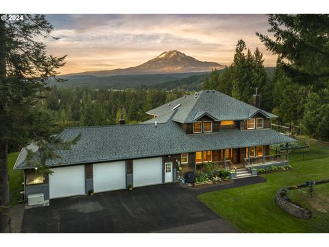 A home in Trout Lake