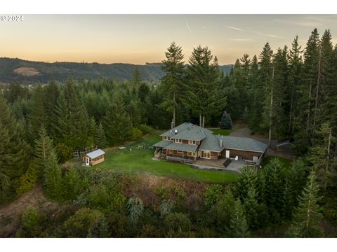 A home in Trout Lake