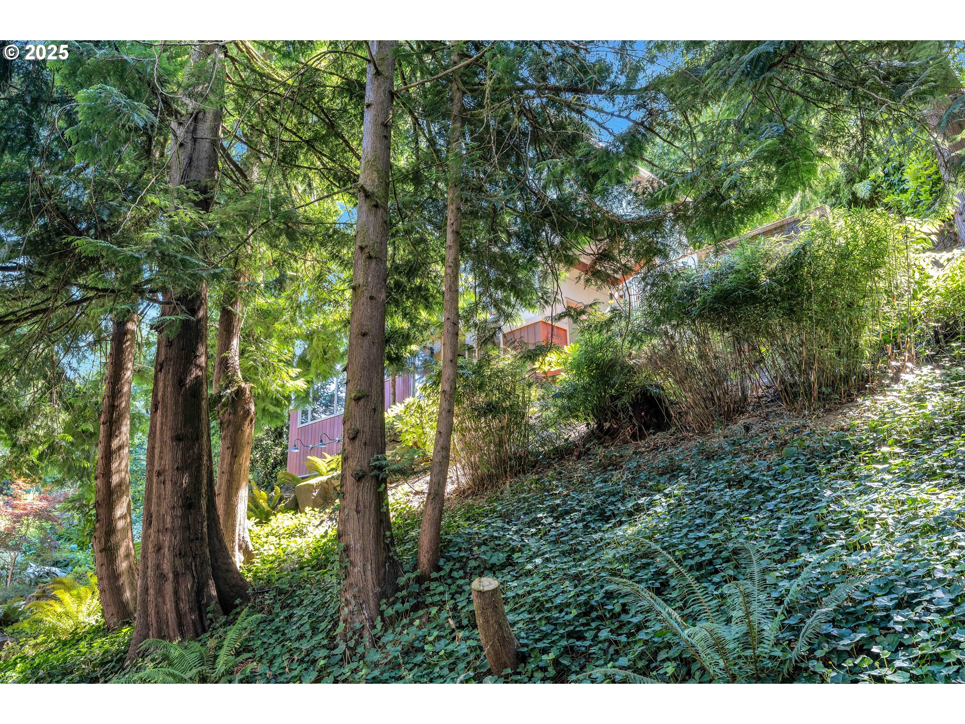 315 SW 48TH DR