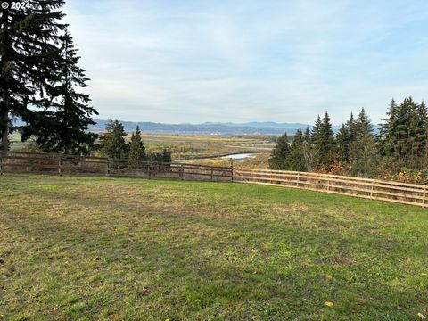 A home in Clatskanie