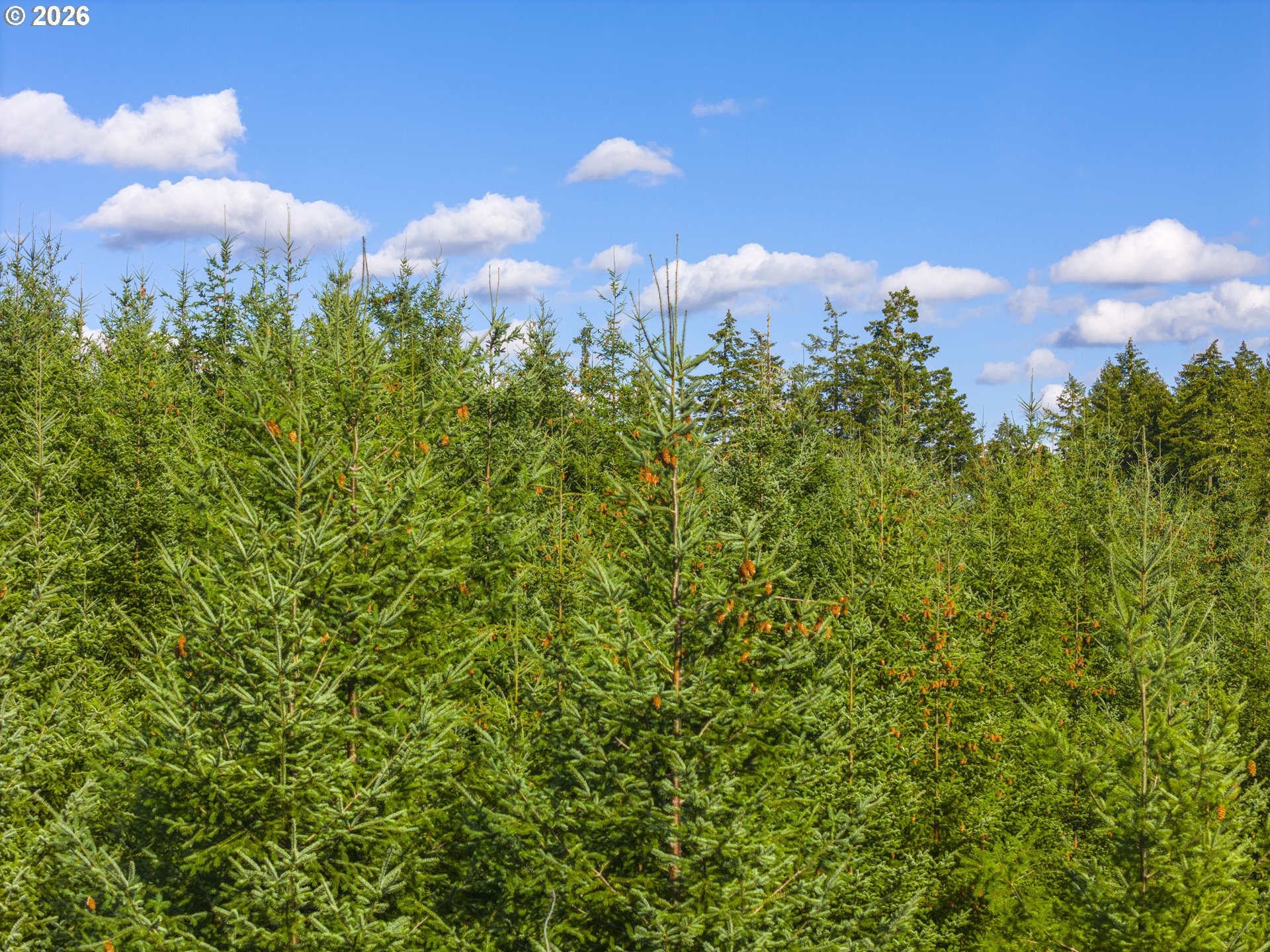 00 Meadow Lake RD