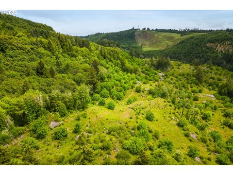 A home in Willamina