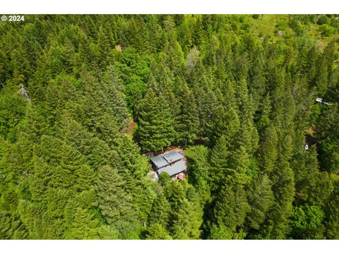 A home in Willamina