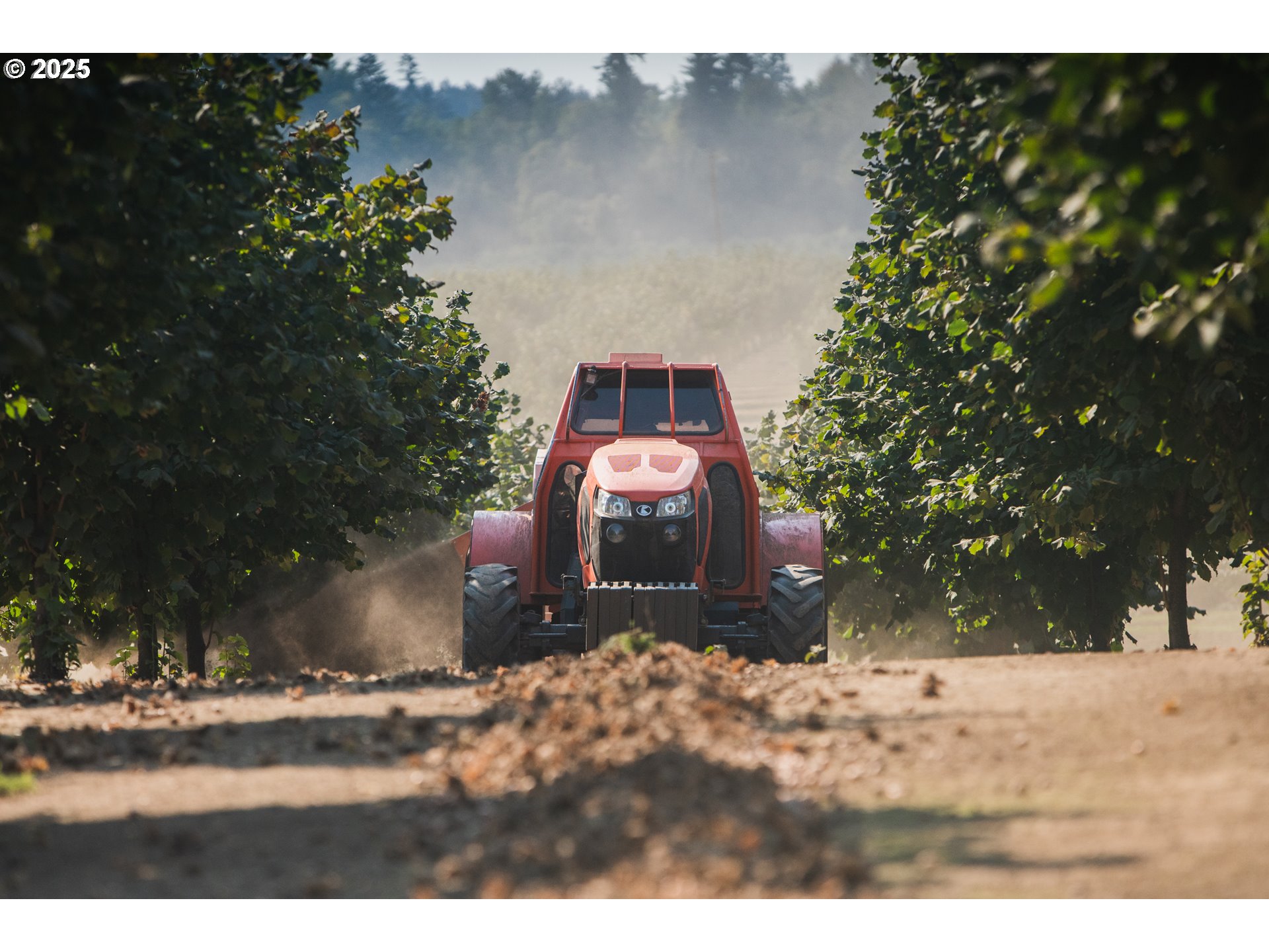 Forest Grove, Oregon 97116, United States, 3 Bedrooms Bedrooms, ,2 BathroomsBathrooms,Residential,Active,18730