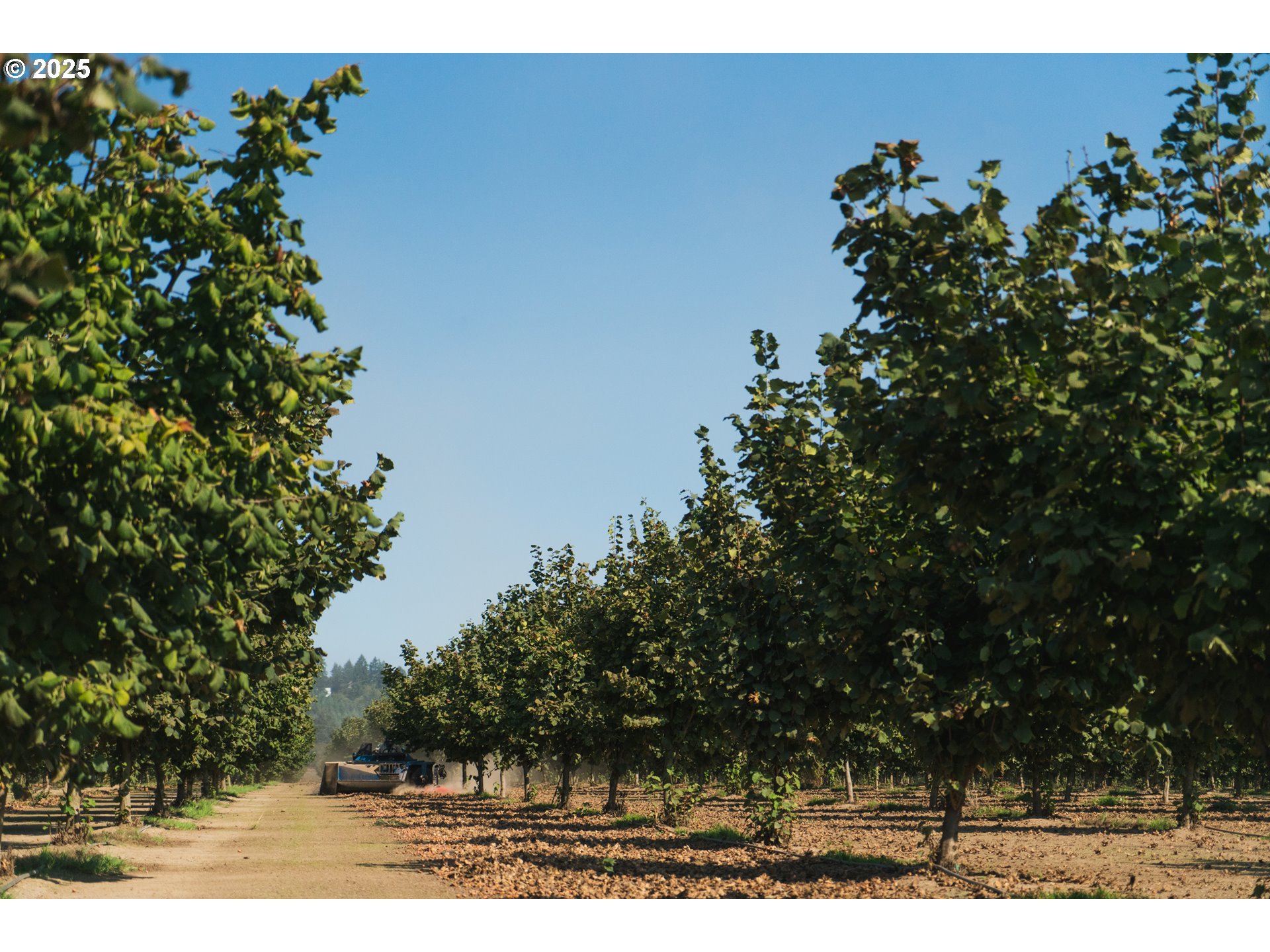 Forest Grove, Oregon 97116, United States, 3 Bedrooms Bedrooms, ,2 BathroomsBathrooms,Residential,Active,18730