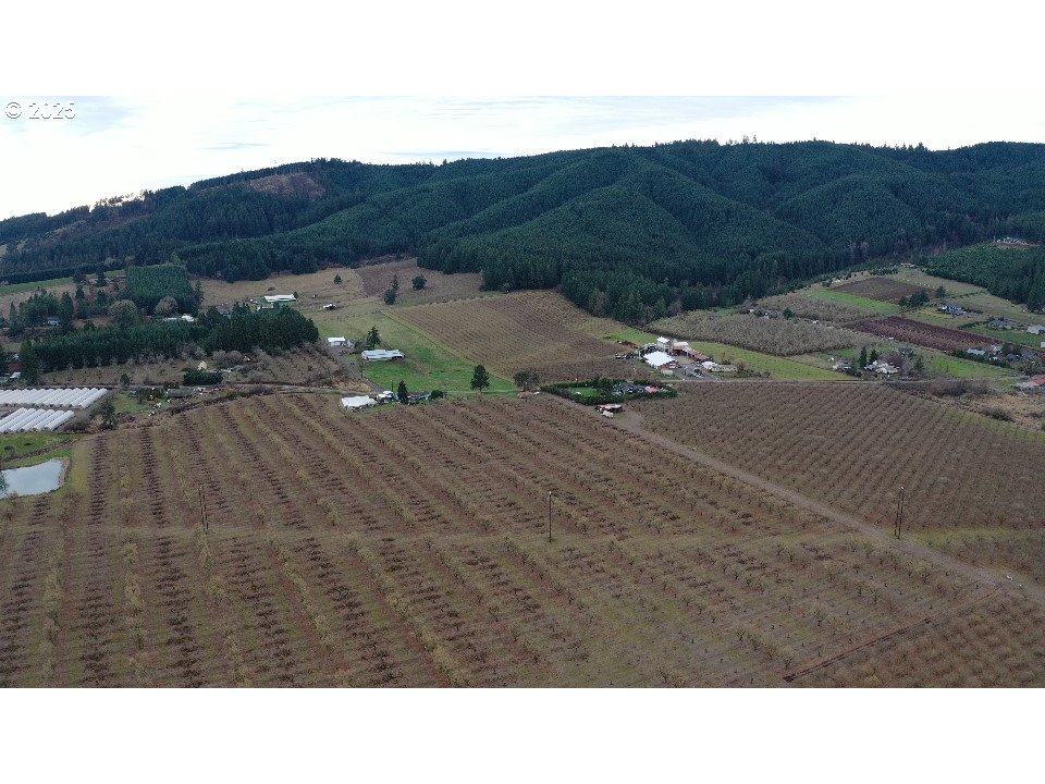 Forest Grove, Oregon 97116, United States, 3 Bedrooms Bedrooms, ,2 BathroomsBathrooms,Residential,Active,18730