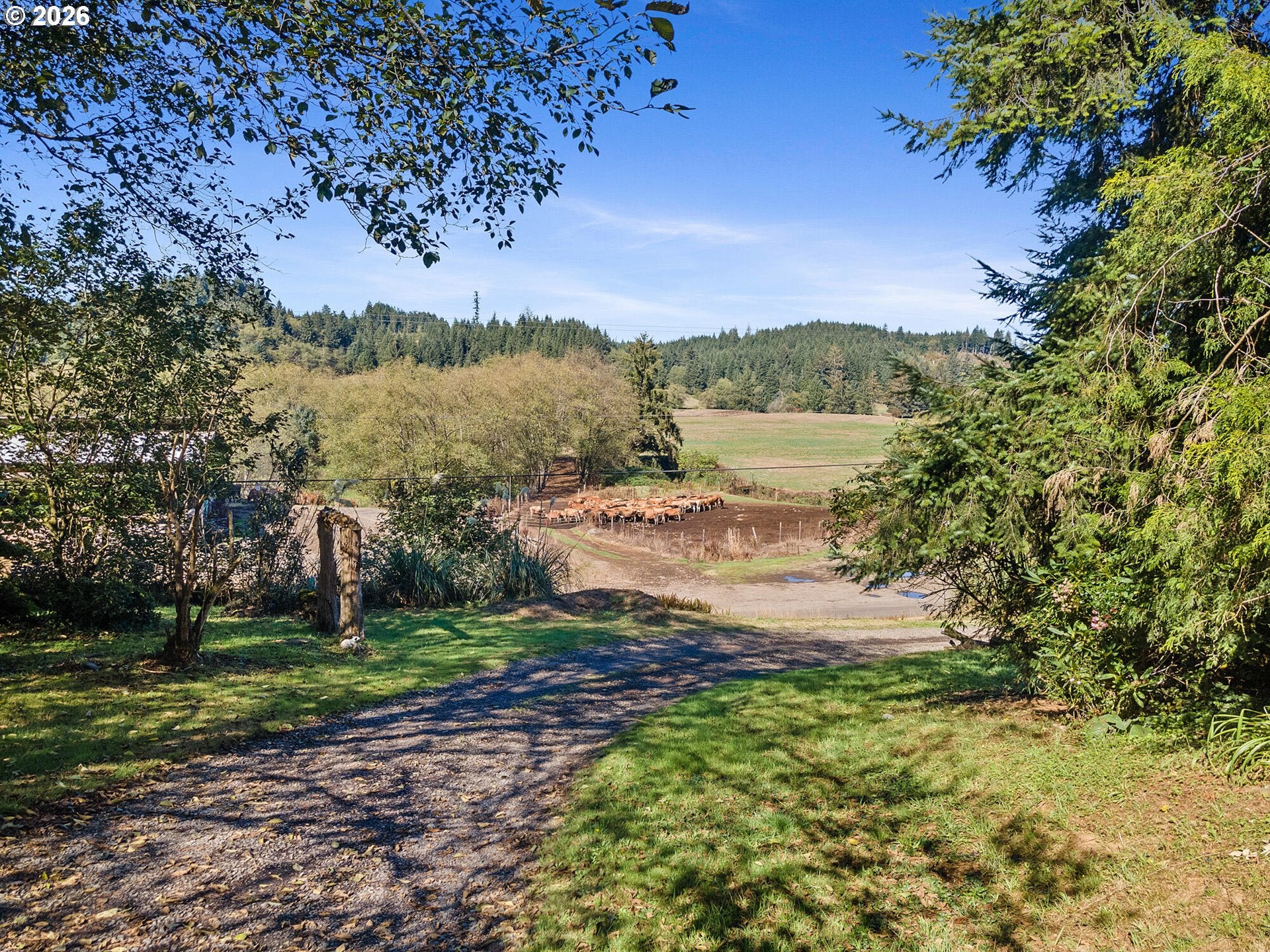8365 Bewley Creek RD