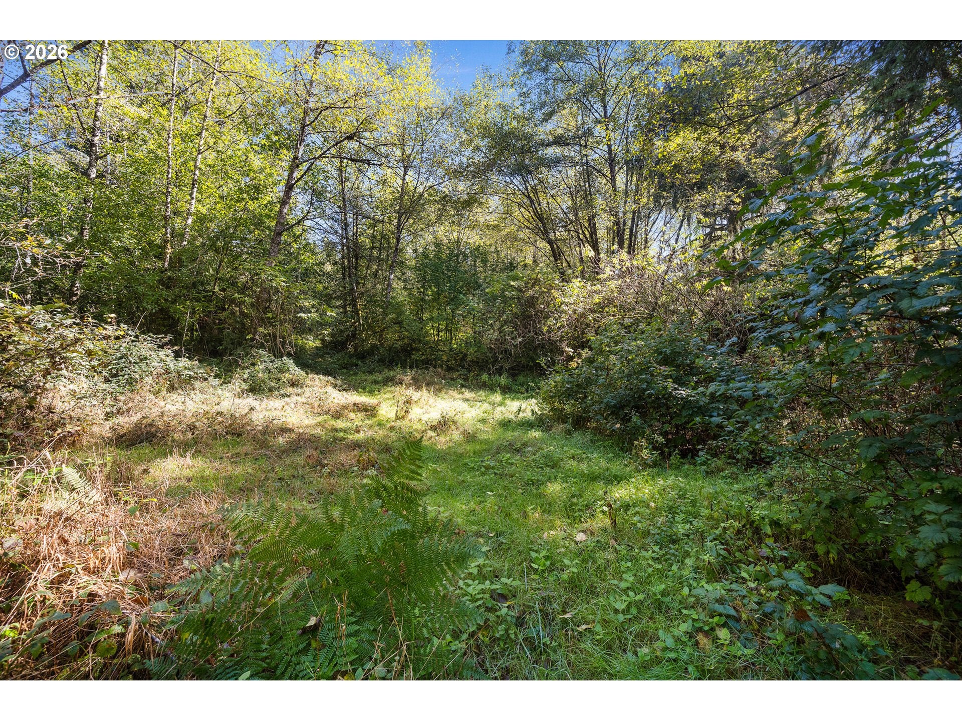 8365 Bewley Creek RD