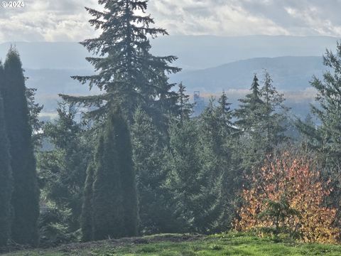 A home in Kalama