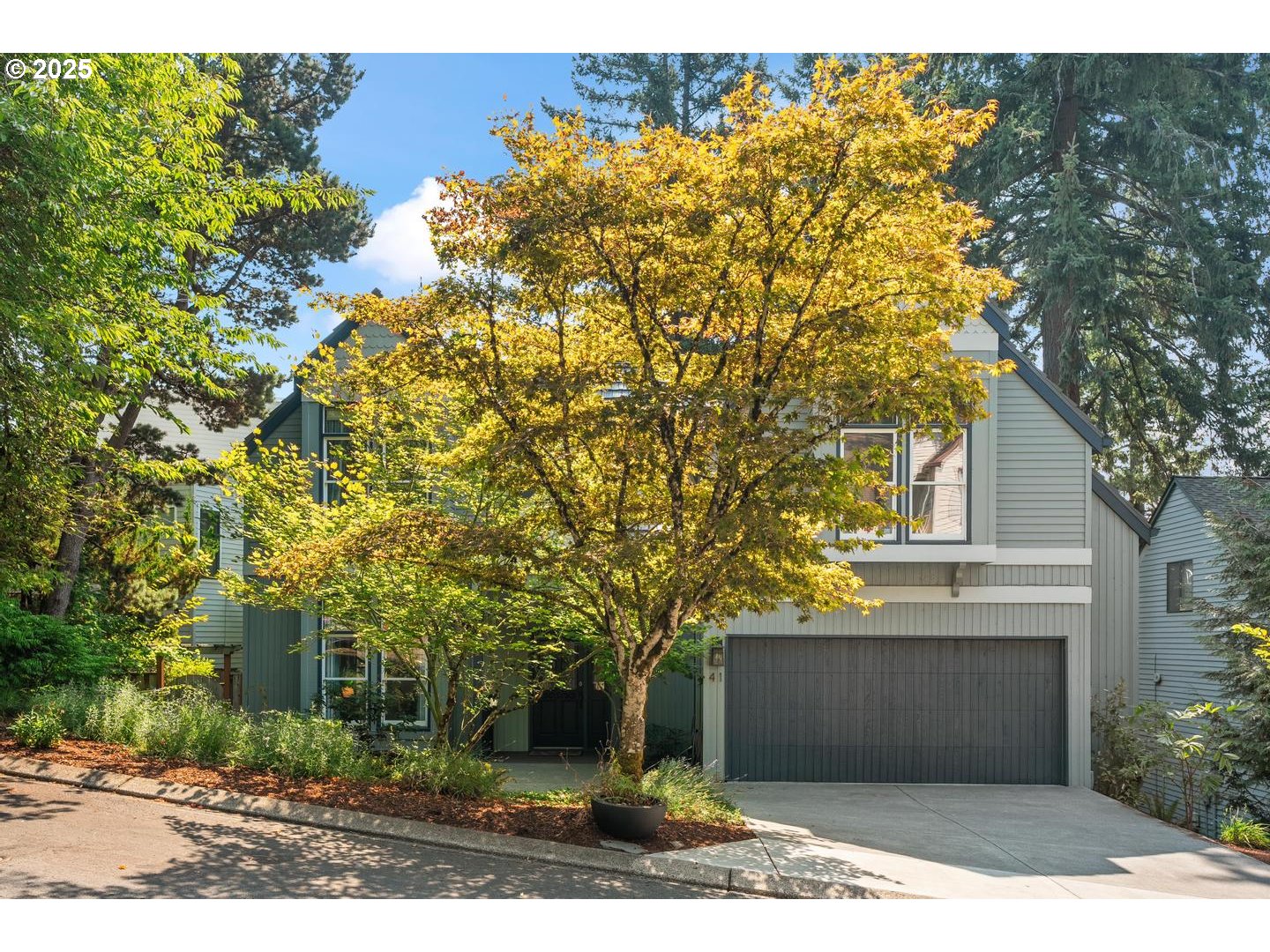 41 AQUINAS ST