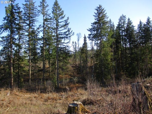 ABIQUA DAM RD, SILVERTON, OR 97381 - Image 64d0909cd1f2cff7b09b8a577f3da20d/3250097348