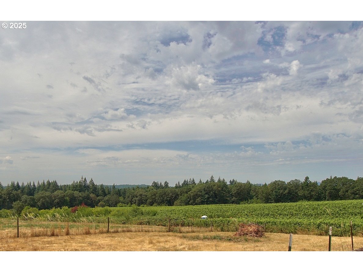 19945 NE RIBBON RIDGE RD