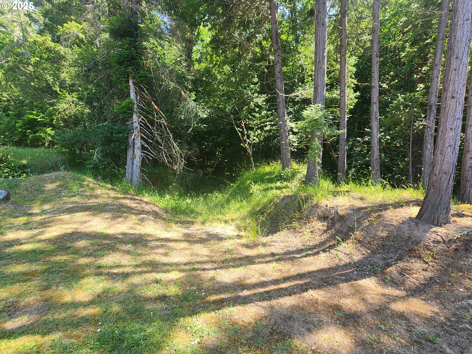1090 E WILLIS CREEK RD