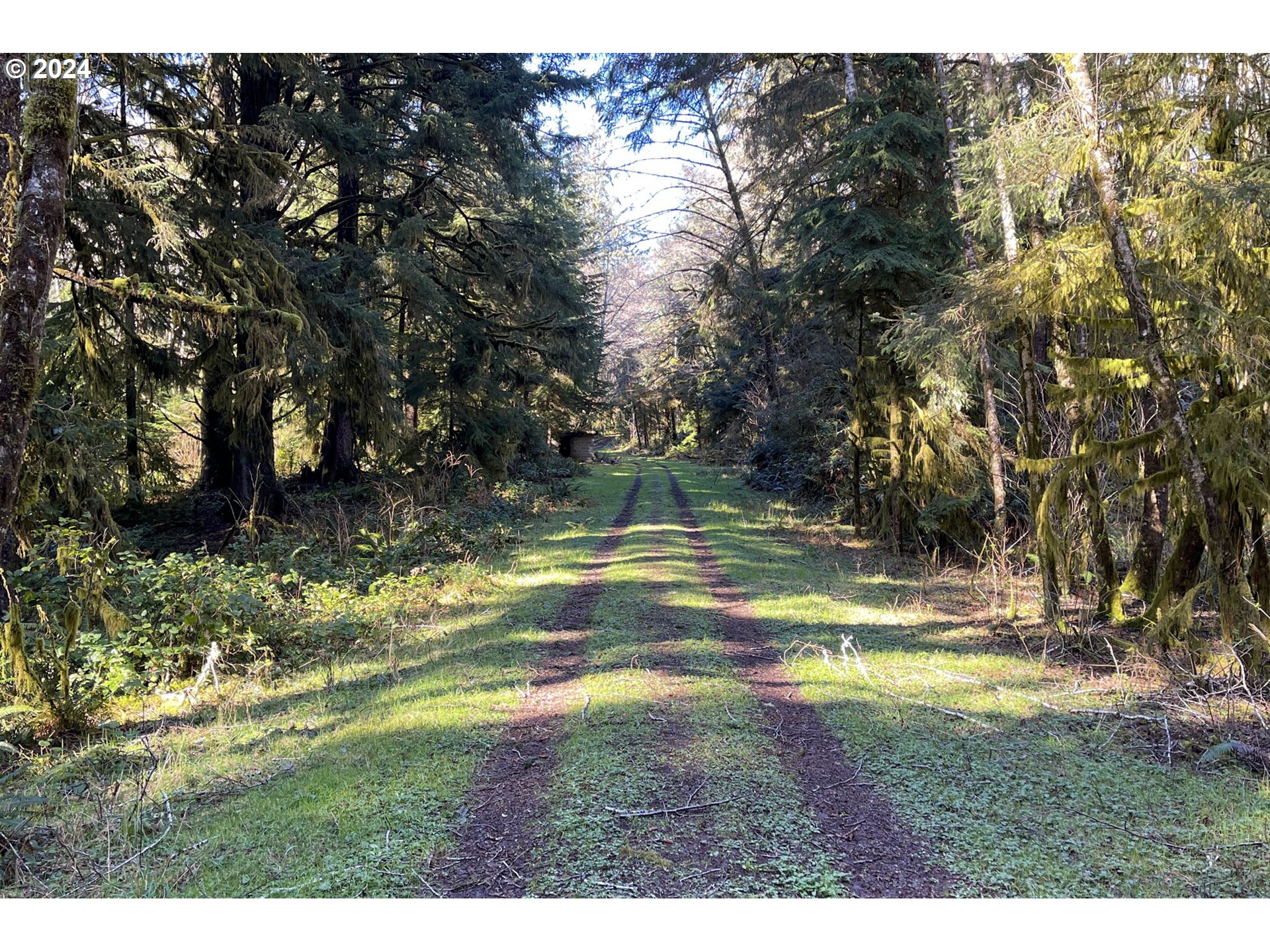 Netarts, Oregon 97143, United States, ,Land,Active,63311