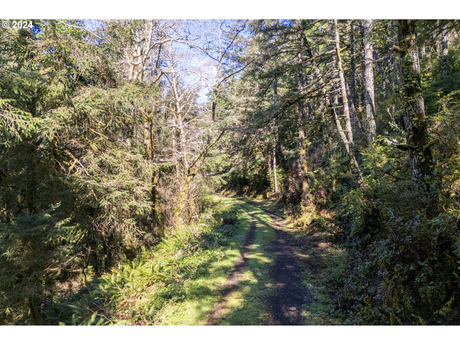 Netarts, Oregon 97143, United States, ,Land,Active,63311