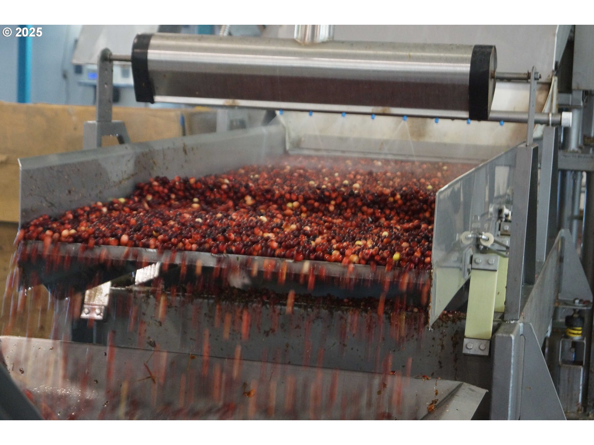 Bandon, Oregon 97411, United States, ,Commercial,Active,196857