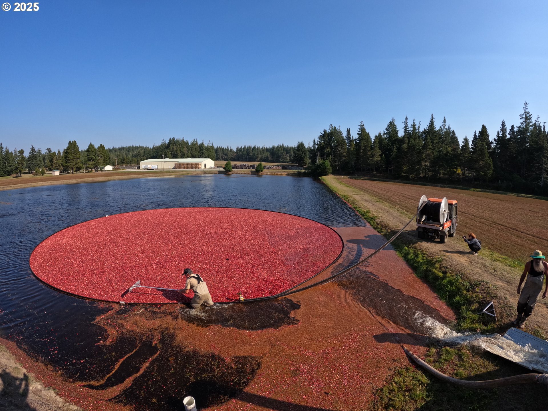 Bandon, Oregon 97411, United States, ,Commercial,Active,196857