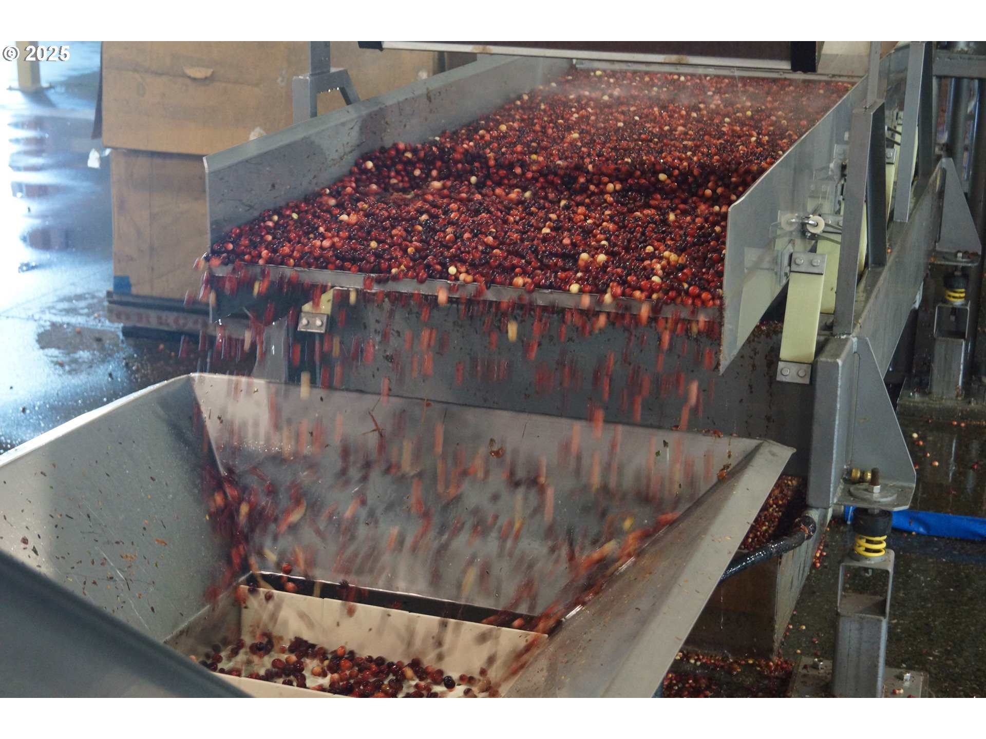 Bandon, Oregon 97411, United States, ,Commercial,Active,196857