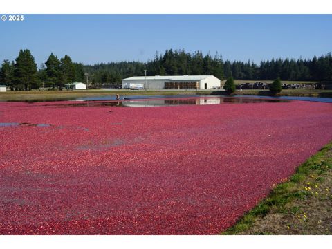 54981 MORRISON RD Bandon OR 97411