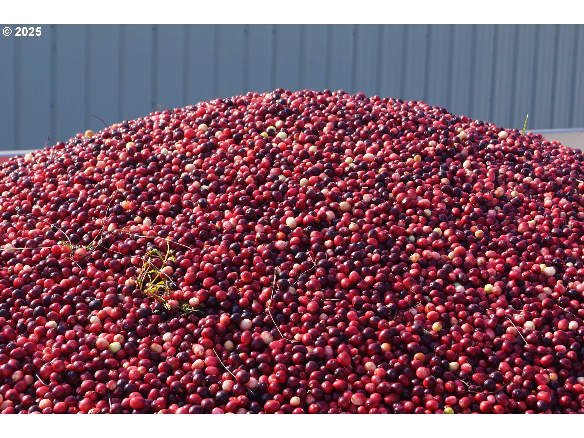 Bandon, Oregon 97411, United States, ,Commercial,Active,196857