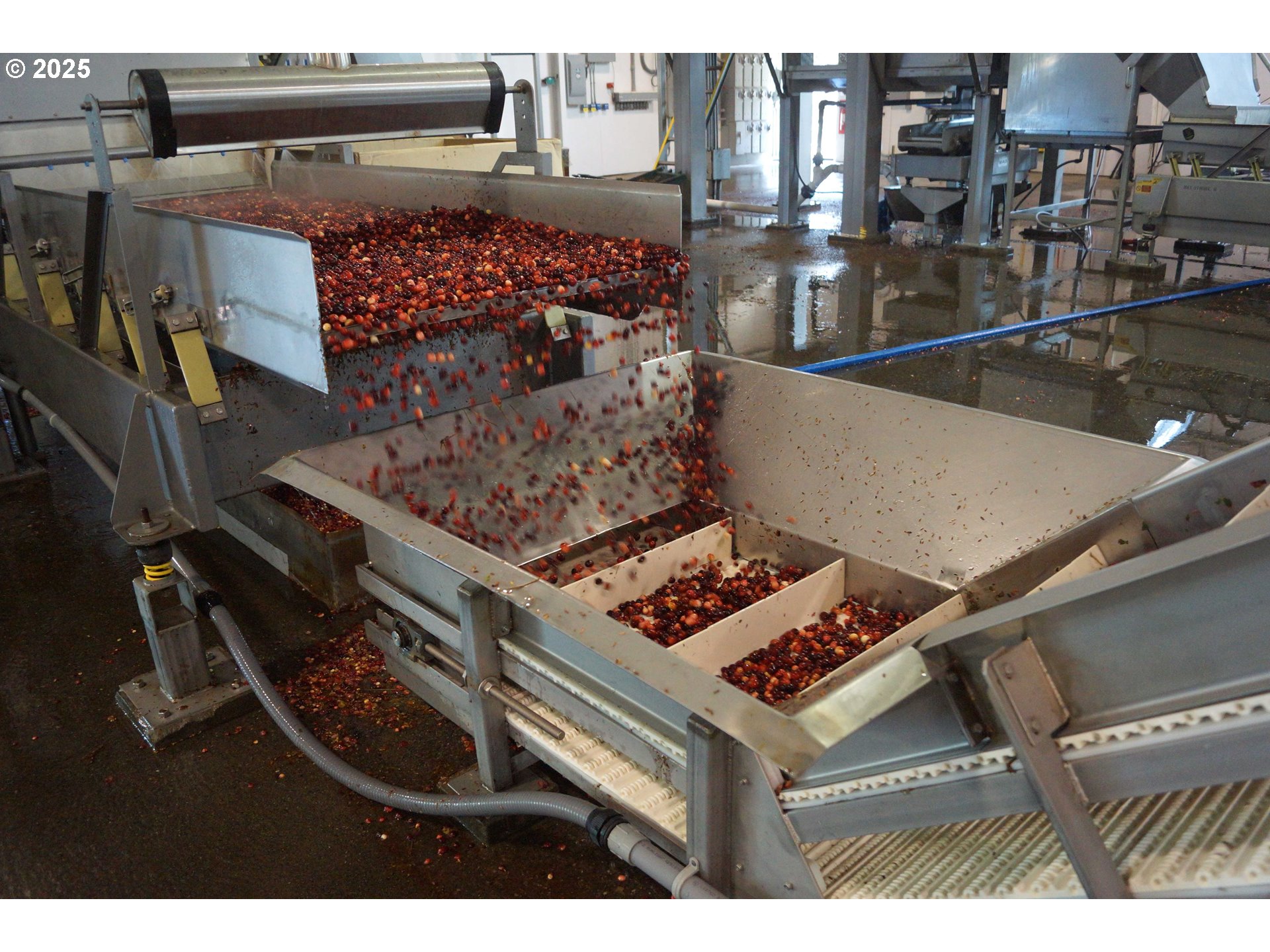 Bandon, Oregon 97411, United States, ,Commercial,Active,196857