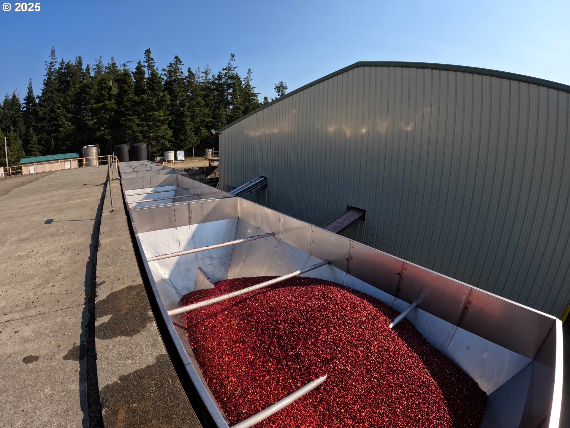 Bandon, Oregon 97411, United States, ,Commercial,Active,196857