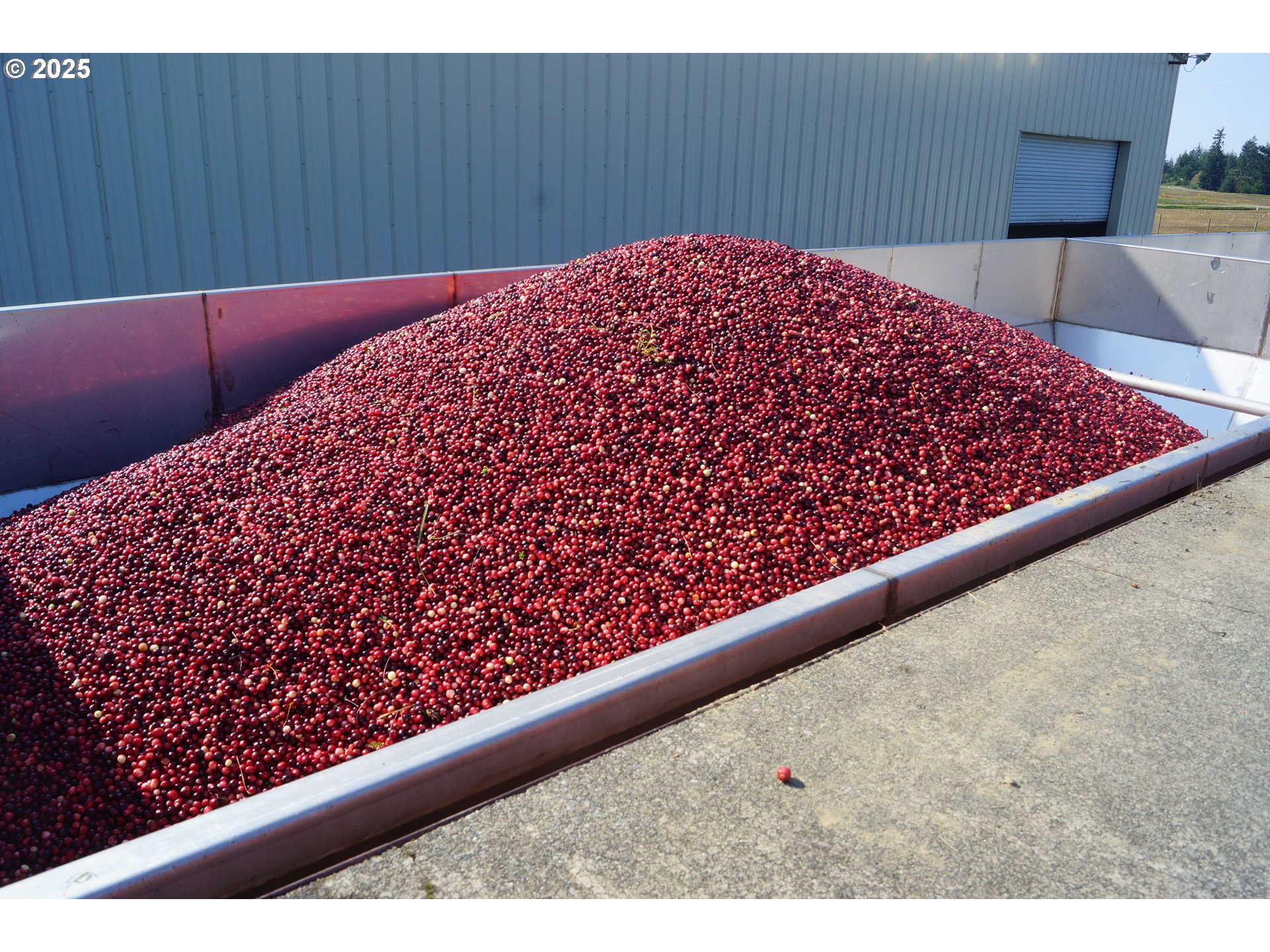 Bandon, Oregon 97411, United States, ,Commercial,Active,196857