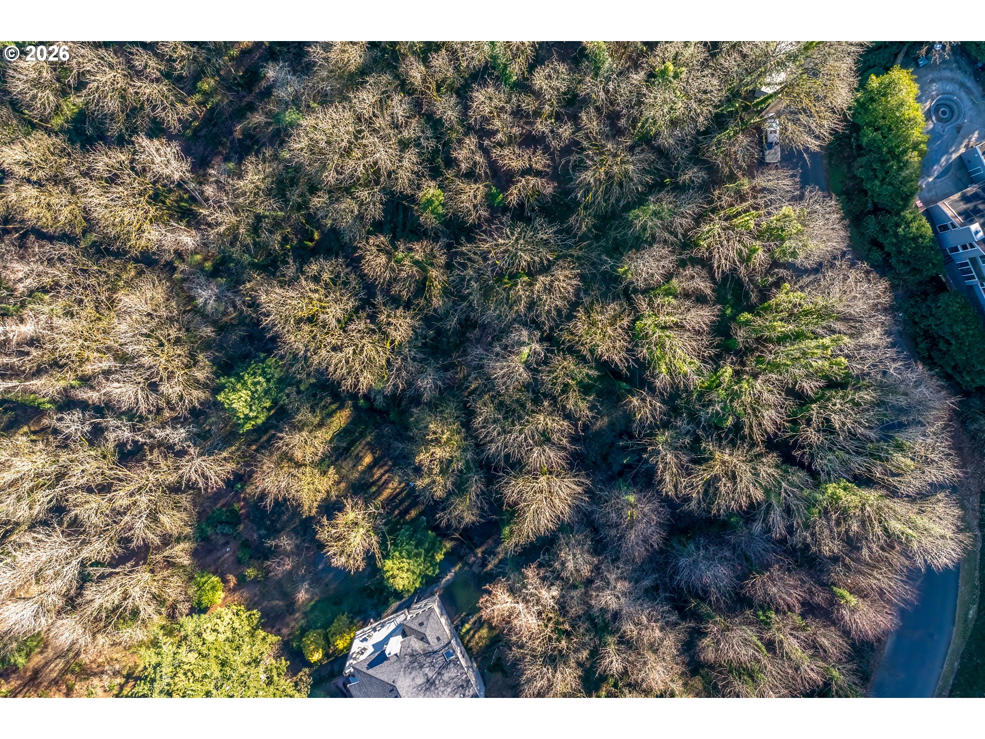 NW ROYAL - Lot 3 BLVD