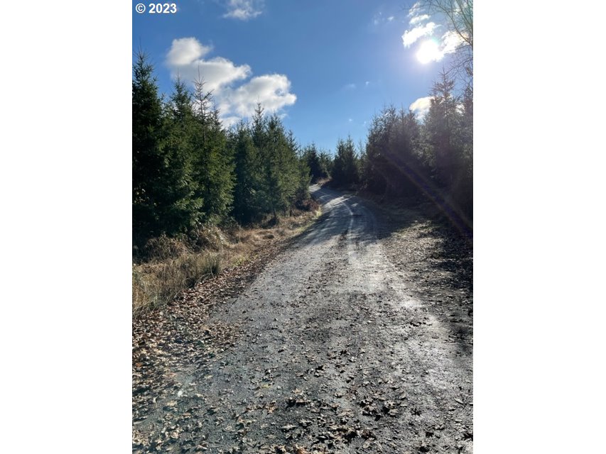 00 Buck Hollow (18) RD