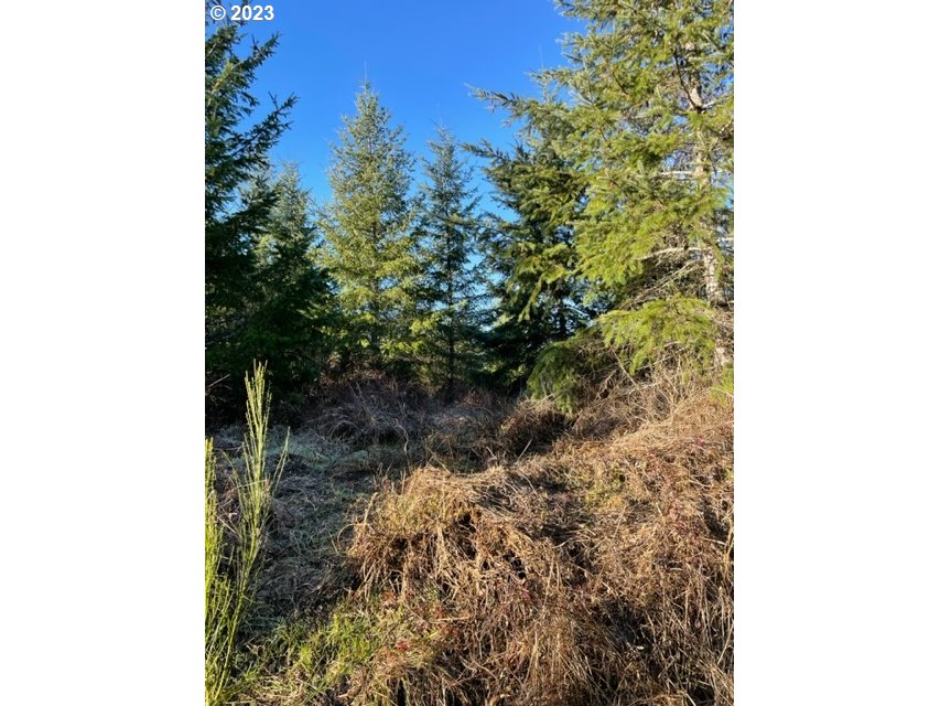 00 Buck Hollow (18) RD