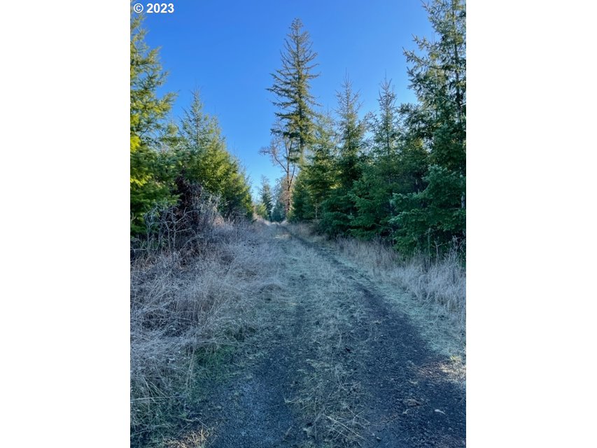 00 Buck Hollow (18) RD