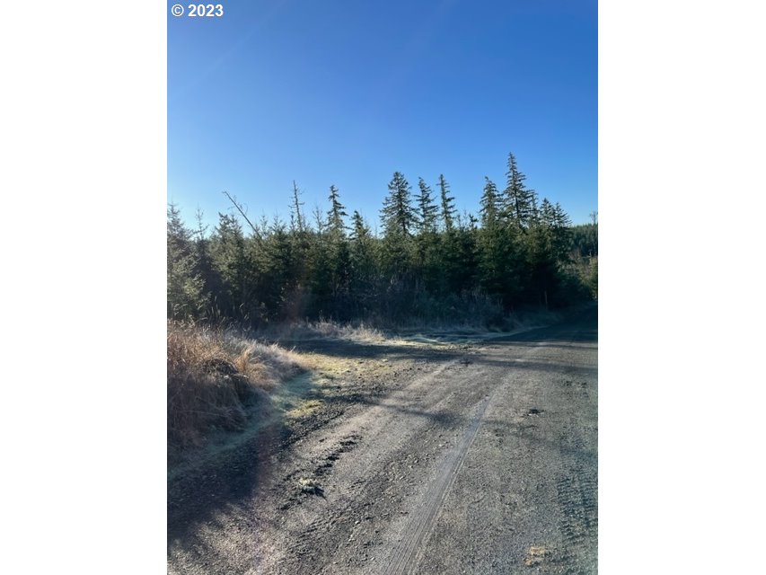 00 Buck Hollow (18) RD