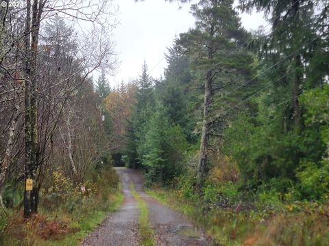 A home in Port Orford