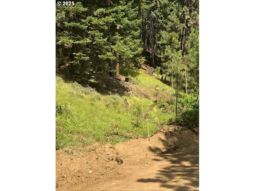 605 SUMPTER VALLEY HWY