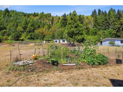 Tiny photo for 76566 Davis Rd, Oakridge, OR 97463 (MLS # 270165821)