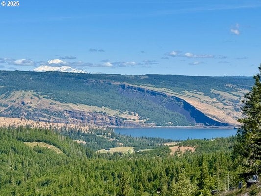 HUSKEY RD, MOSIER, OR 97040 - Image 69571929d3c69205c1435c8ecc7b2e2e/2075864801