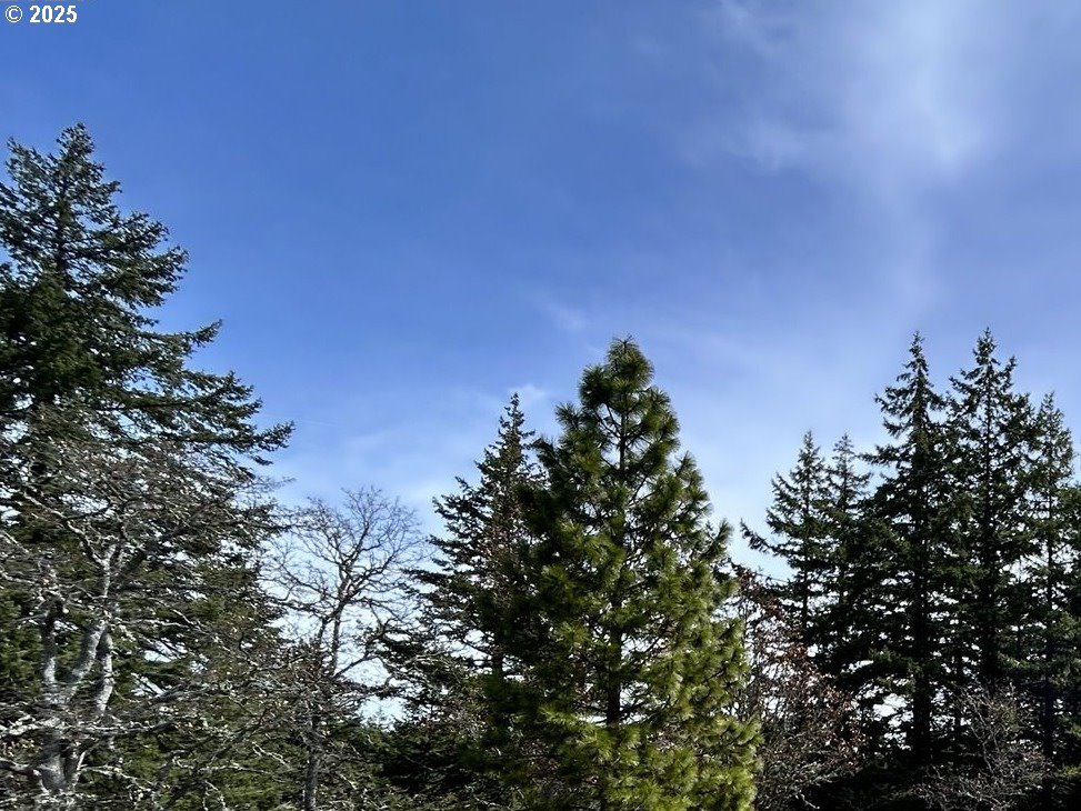 000 Knoll Ridge Road