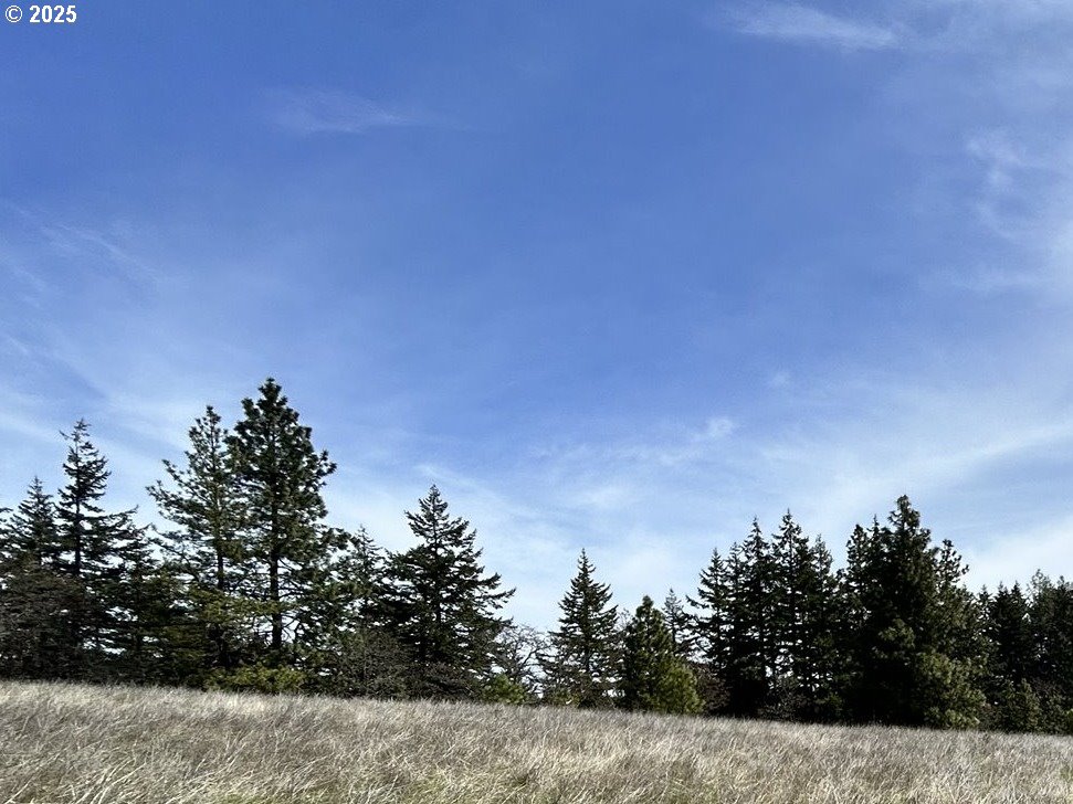 000 Knoll Ridge Road