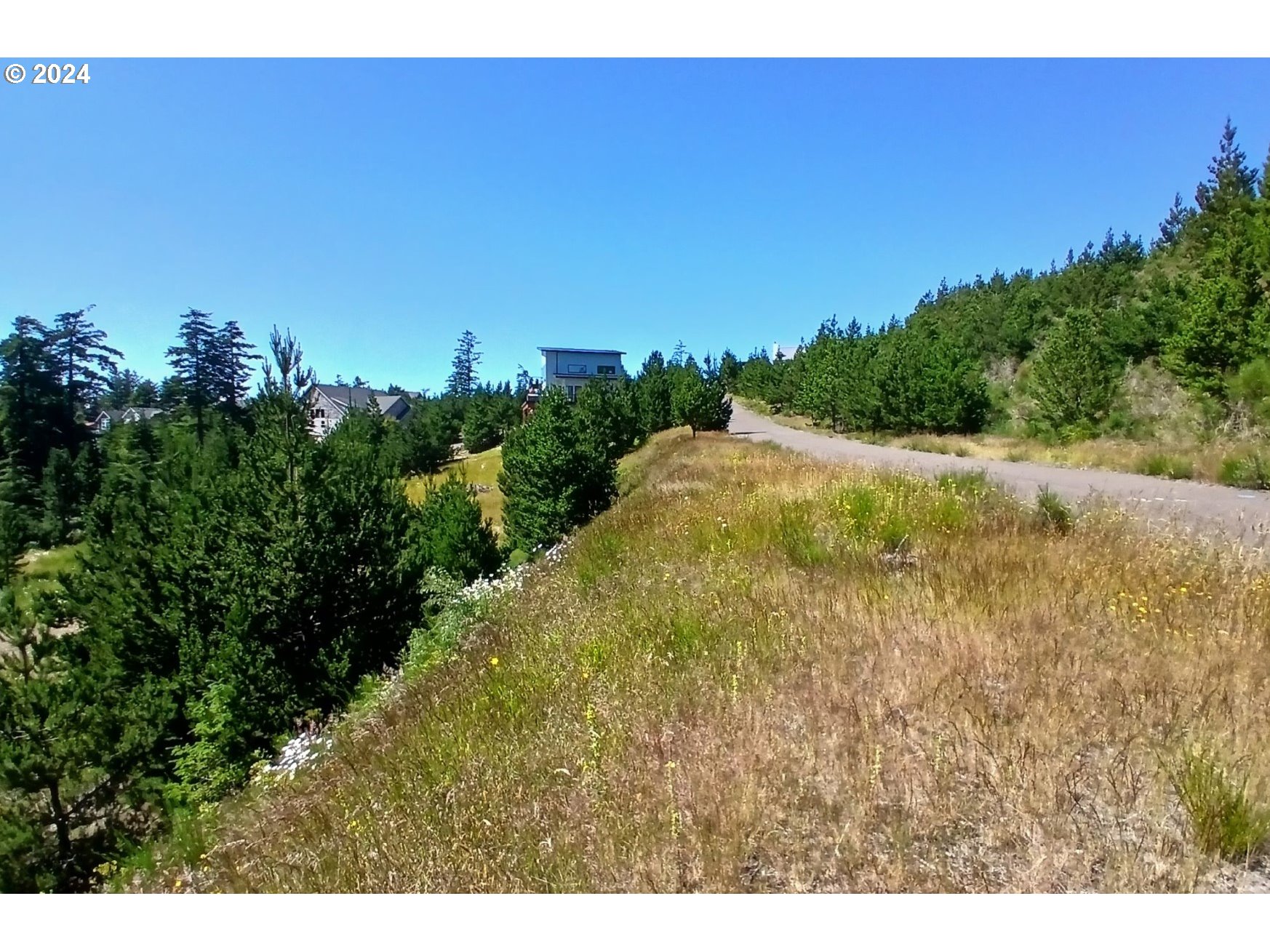 Oceanside, Oregon 97134, United States, ,Land,Active,53407