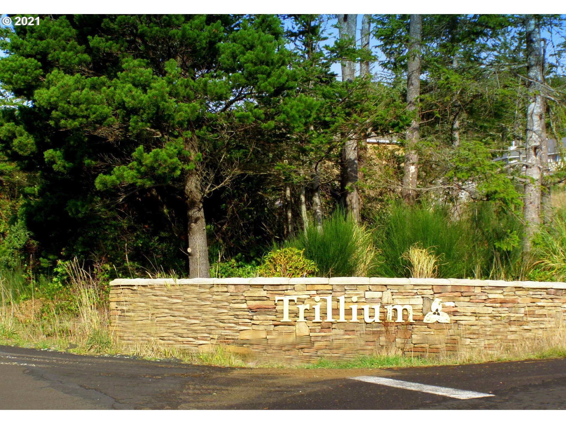 Oceanside, Oregon 97134, United States, ,Land,Active,53407