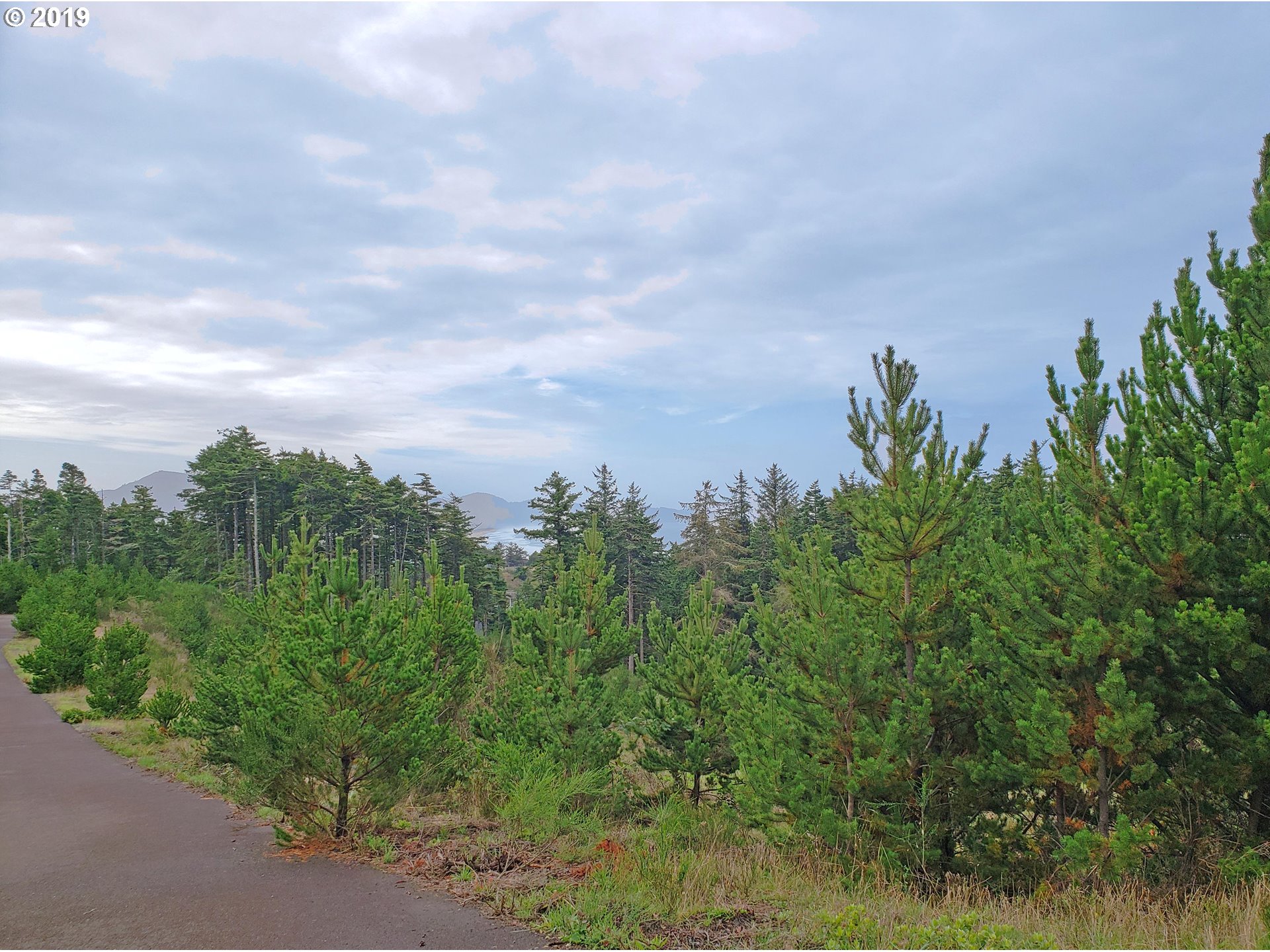 Oceanside, Oregon 97134, United States, ,Land,Active,53407
