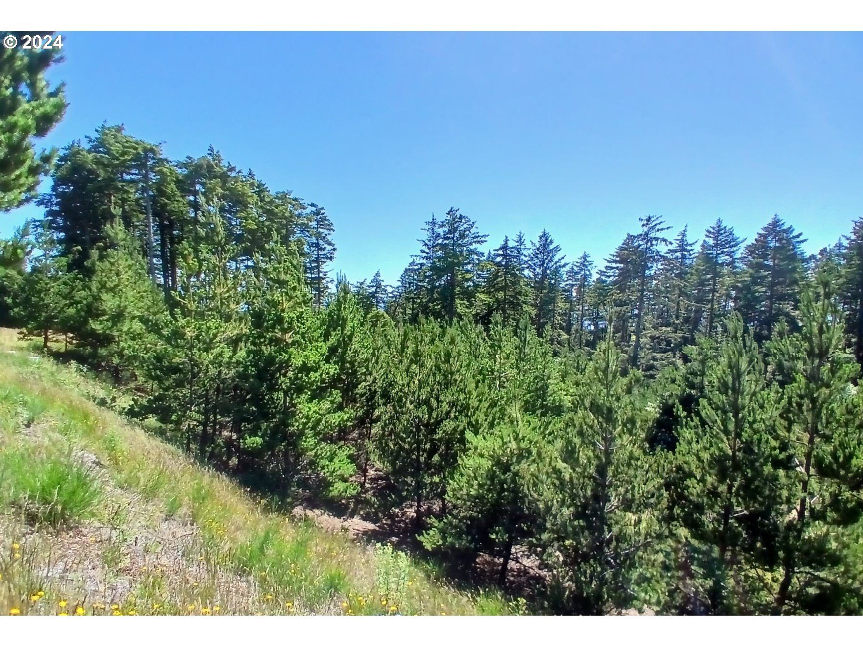 Oceanside, Oregon 97134, United States, ,Land,Active,53407