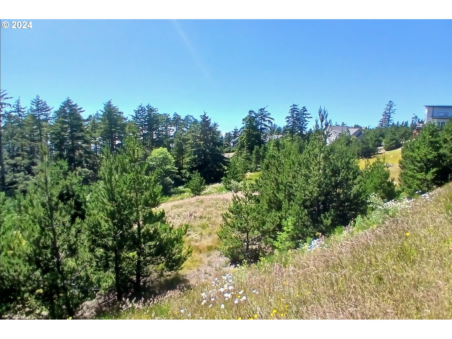 Oceanside, Oregon 97134, United States, ,Land,Active,53407