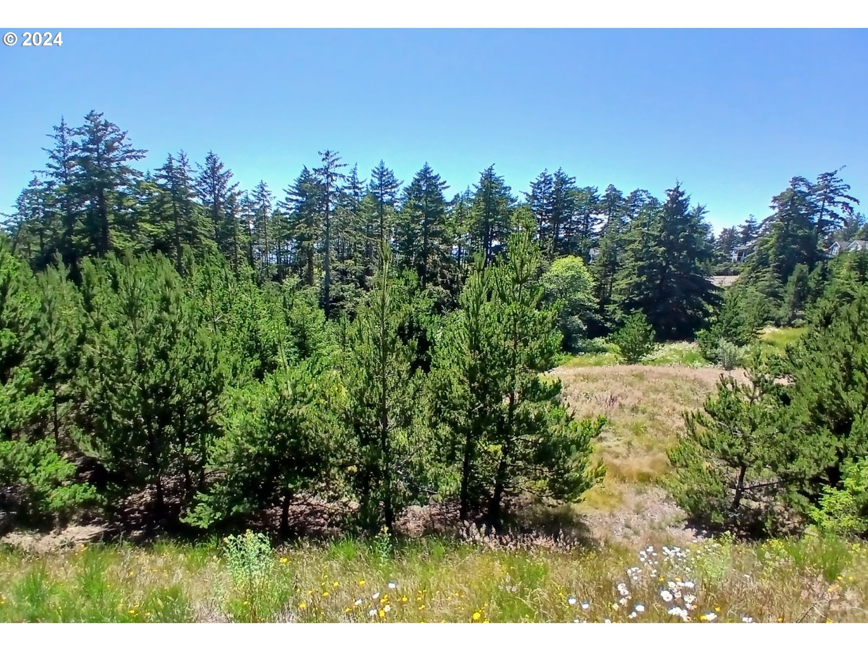 Oceanside, Oregon 97134, United States, ,Land,Active,53407