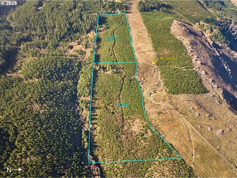 0 Kellett RD B Washougal WA 98671