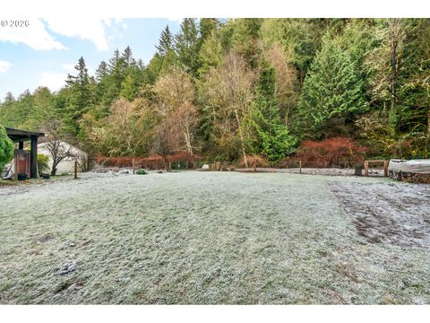 Tiny photo for 47054 Westfir Oakridge Rd, Westfir, OR 97492 (MLS # 451139389)