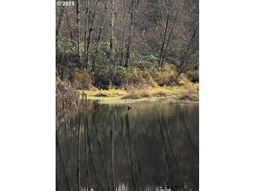 17719 NE MANNING CIR