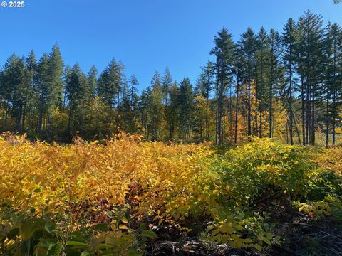 S Hult RD Beavercreek OR 97004